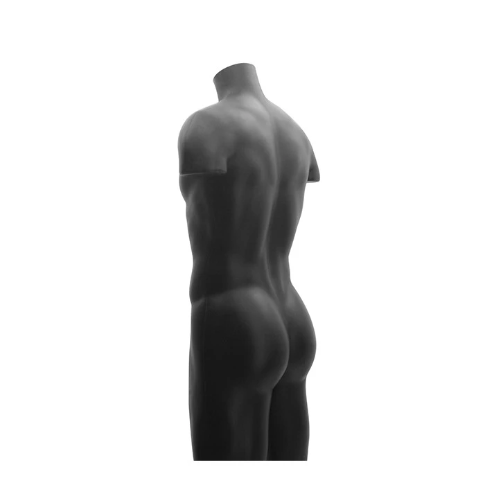 plastic male torso2